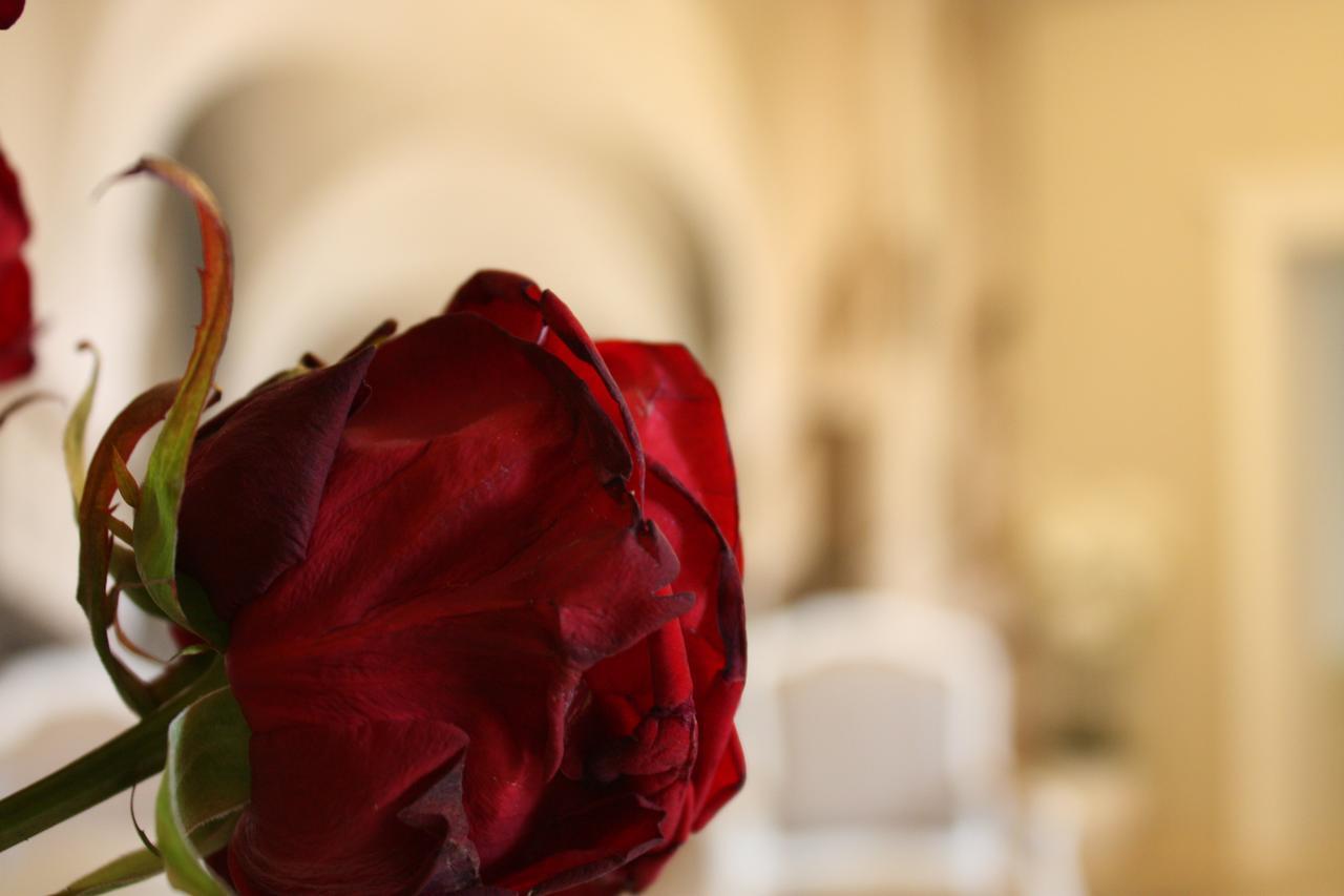 Suites & Apartments Liola' Castrocielo エクステリア 写真